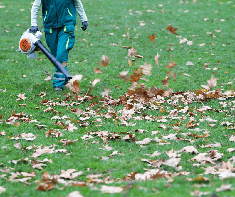 Top Tips for Using Leaf Blowers in Autumn: Best Practices and Recommended Products - Beattys of Loughrea