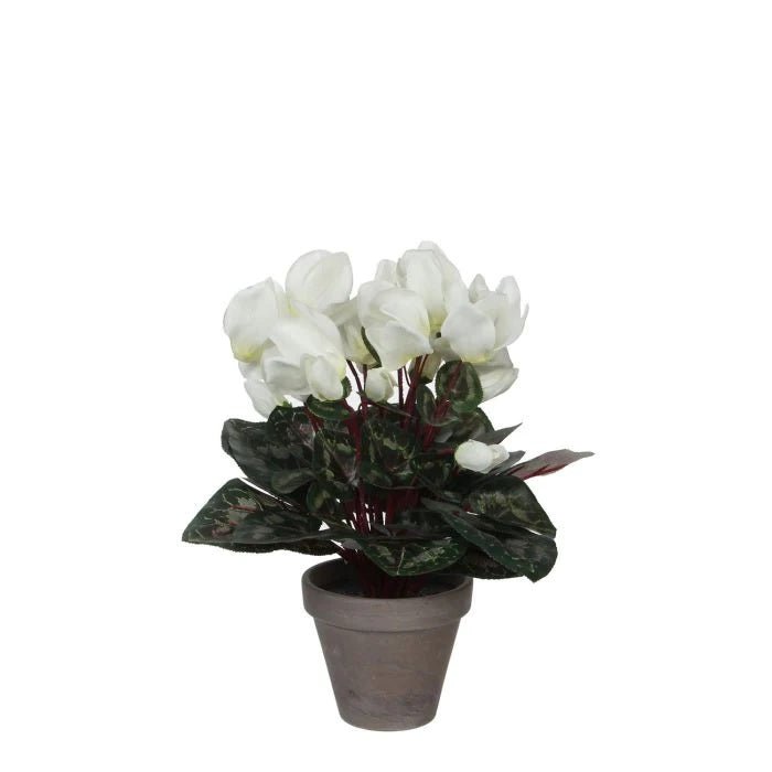 Artificial Cyclamen Plant White in Grey Pot 30cm - POTTED PLANTS - DRY ORNAMENTAL - Beattys of Loughrea