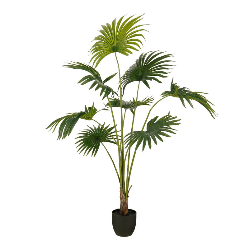 Mica Decorations Fan Palm in Pot Green 1.6m