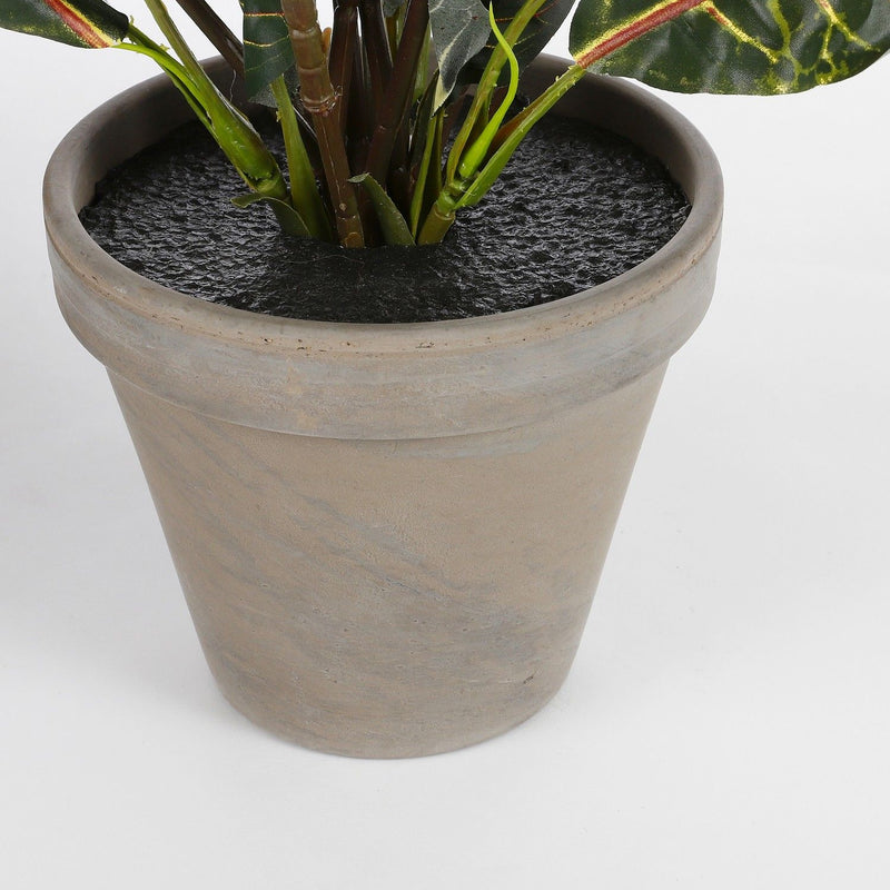 Croton Artificial Plant 73cm - FLOWERS - PAPER/PLASTIC - Beattys of Loughrea