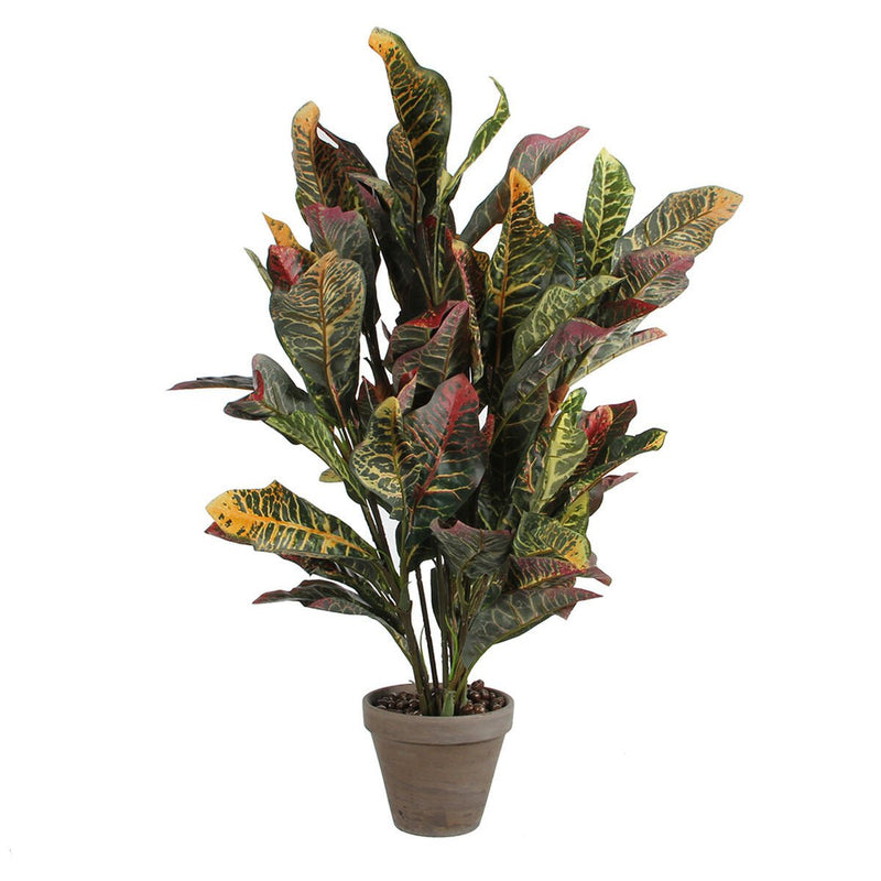 Croton Artificial Plant 73cm - FLOWERS - PAPER/PLASTIC - Beattys of Loughrea