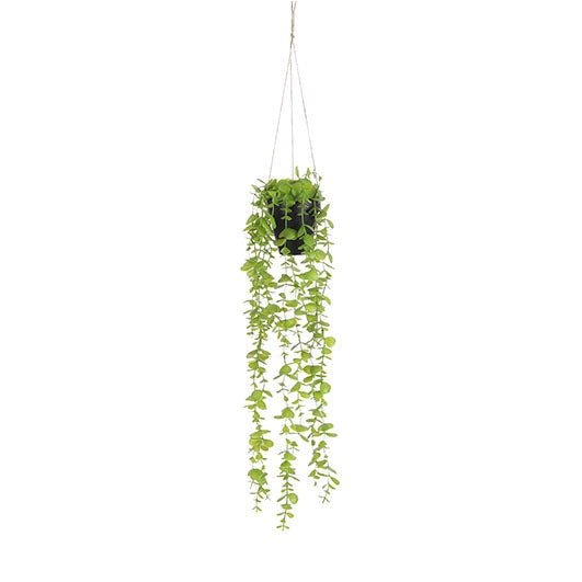 Mica Decorations Eucalyptus Artificial Hanging Plant in Pot H54 x W9cm - Green - FLOWERS - PAPER/PLASTIC - Beattys of Loughrea