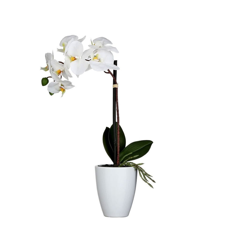 Mica Decorations Phalaenopsis White in pot Tusca White 42cm - POTTED PLANTS - DRY ORNAMENTAL - Beattys of Loughrea