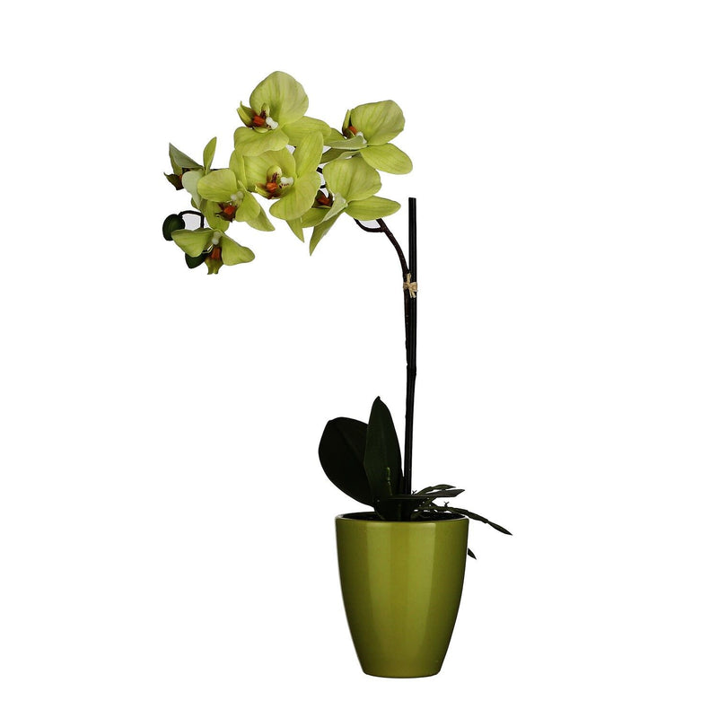 Mica Decorations Phalaenopsis Green in Pot Tusca Green 42cm