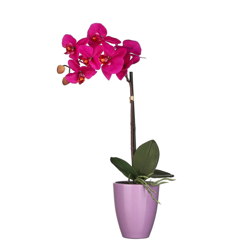 Mica Decorations Phalaenopsis Purple in pot Tusca Lilac 42cm