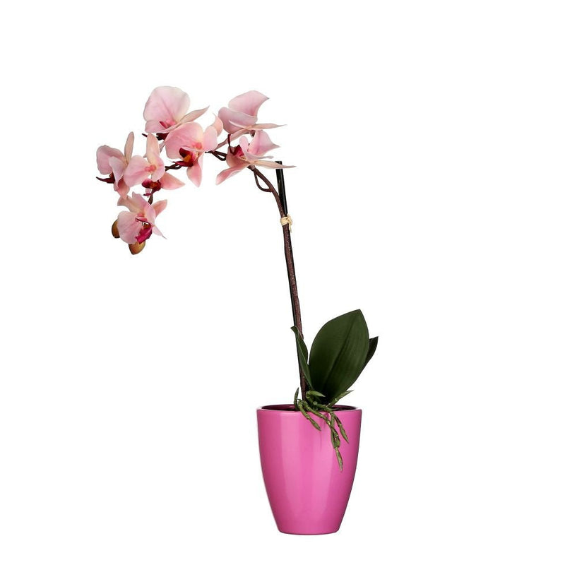 Mica Decorations Phalaenopsis Pink in pot Tusca Pink 42cm - POTTED PLANTS - DRY ORNAMENTAL - Beattys of Loughrea