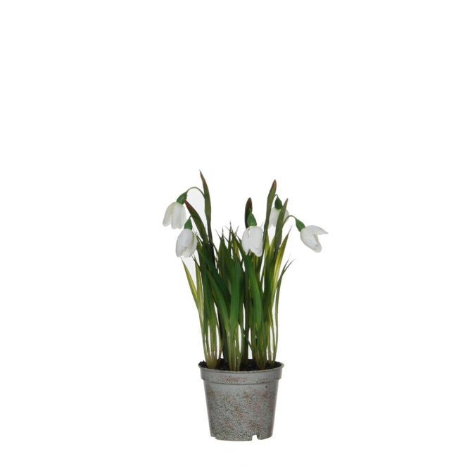 Artificial Snowdrop in Pot 24cm - POTTED PLANTS - DRY ORNAMENTAL - Beattys of Loughrea