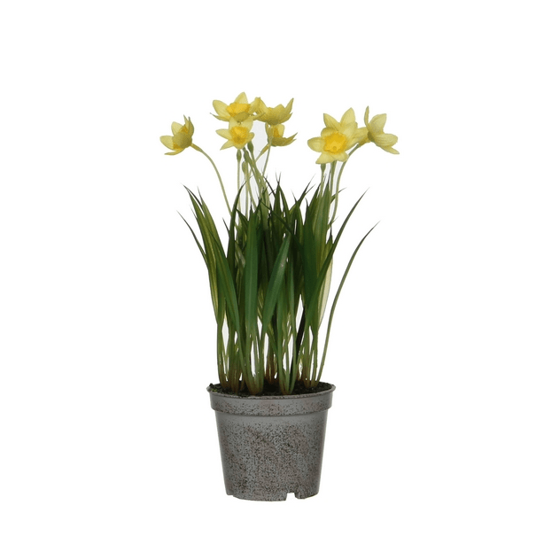 Artificial Daffodil in Pot 26cm - POTTED PLANTS - DRY ORNAMENTAL - Beattys of Loughrea