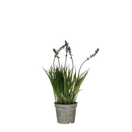 Artificial Lavender in Pot 30cm - POTTED PLANTS - DRY ORNAMENTAL - Beattys of Loughrea