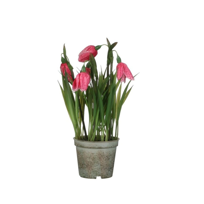 Artificial Fritillaria in Pot 23cm - POTTED PLANTS - DRY ORNAMENTAL - Beattys of Loughrea