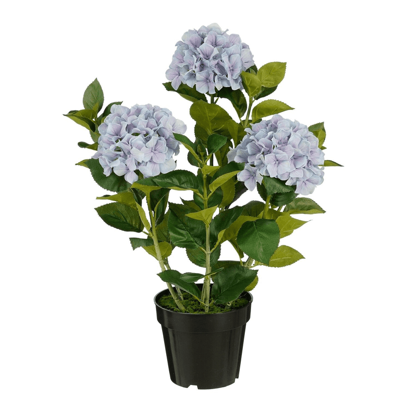 Artificial Hydrangea in Pot Blue Real Touch - h65xd40cm - FLOWERS - PAPER/PLASTIC - Beattys of Loughrea