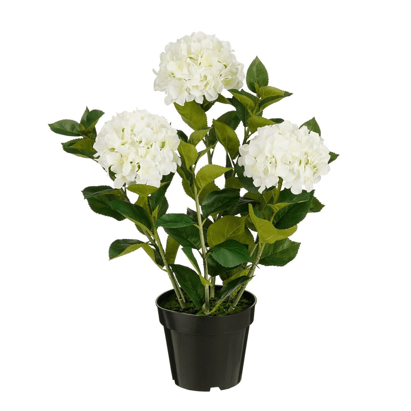 Artificial Hydrangea in Pot White Real Touch - h65xd40cm - FLOWERS - PAPER/PLASTIC - Beattys of Loughrea