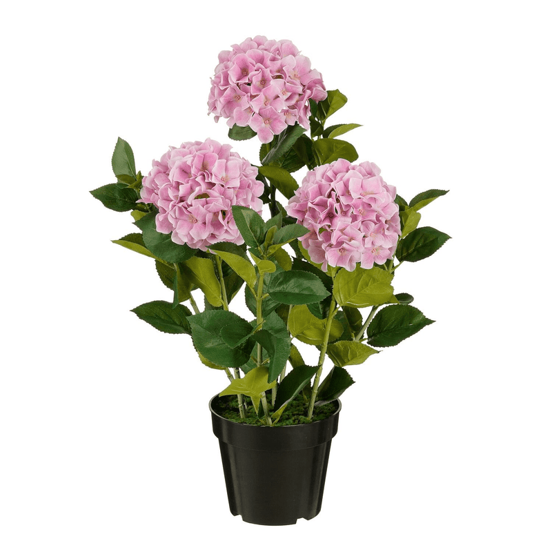 Artificial Hydrangea in Pot Pink Real Touch - h65xd40cm - FLOWERS - PAPER/PLASTIC - Beattys of Loughrea