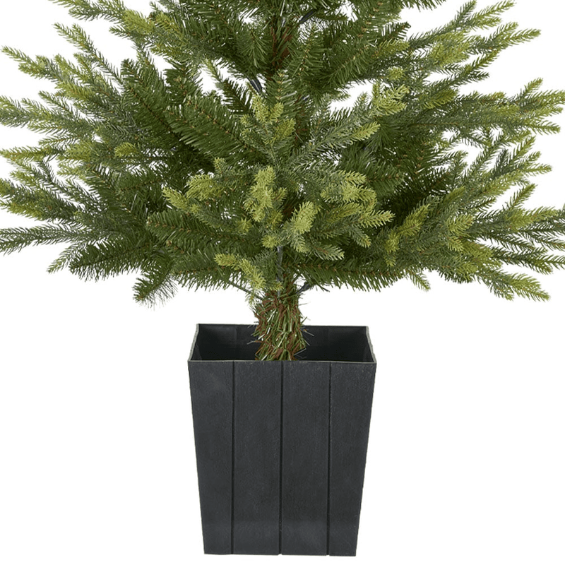 Helsinki Christmas Tree in Pot 4ft (1.2m) - XMAS TREE SMALL - Beattys of Loughrea