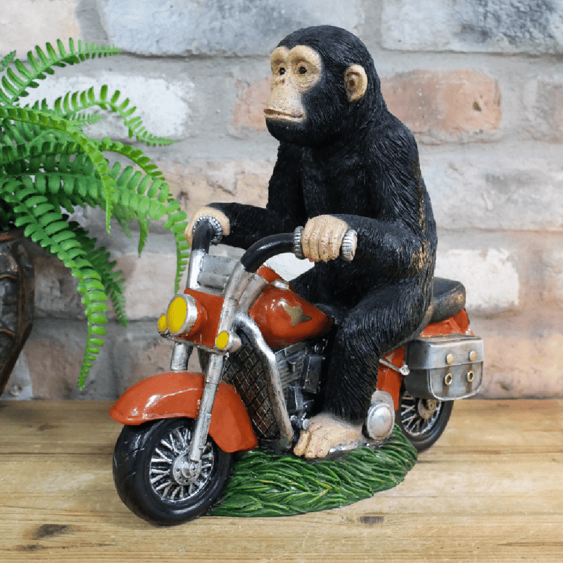 Monkey on his Motorbike Ornament 29cm - ORNAMENTS - Beattys of Loughrea