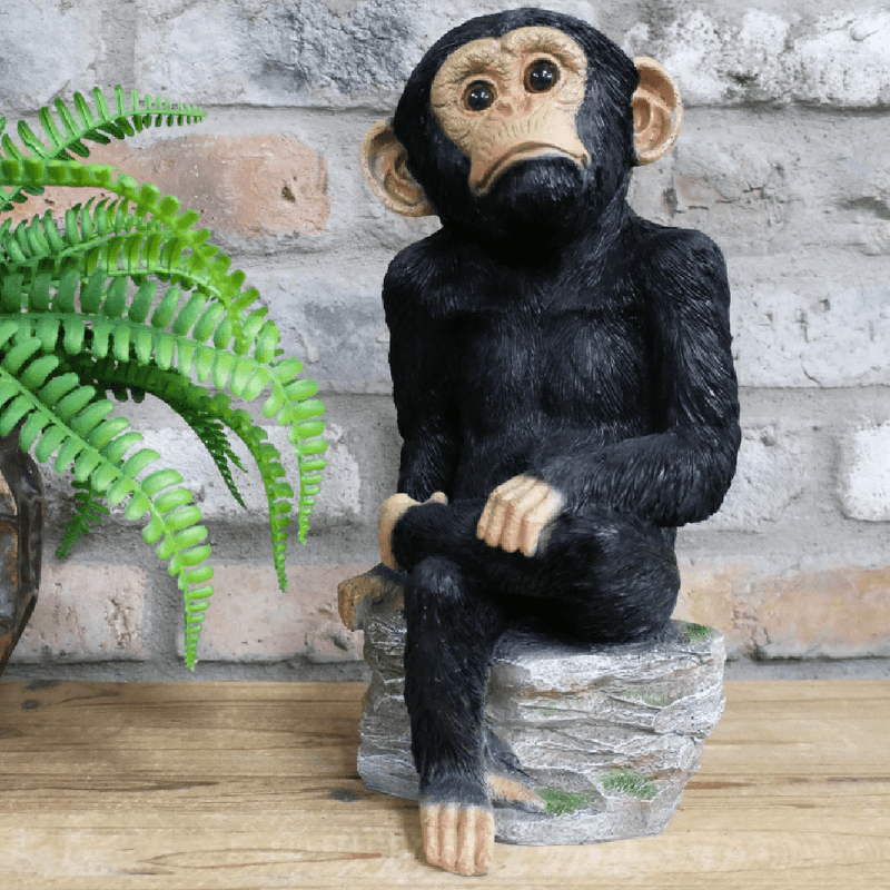 Monkey Sat On Rocks Ornament 33cm - ORNAMENTS - Beattys of Loughrea