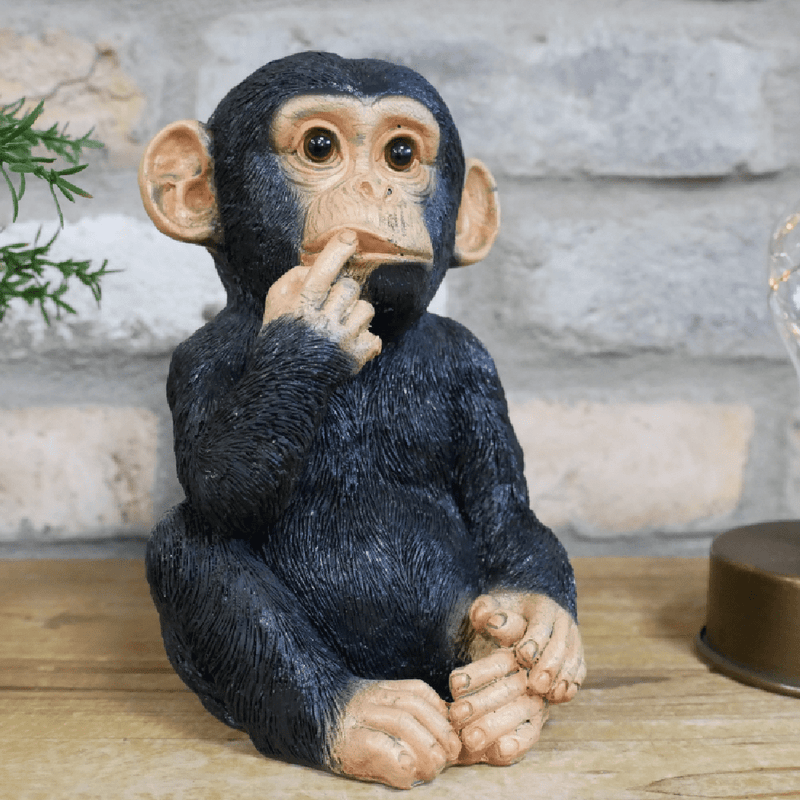 Finger in Mouth Monkey Small 17cm - ORNAMENTS - Beattys of Loughrea