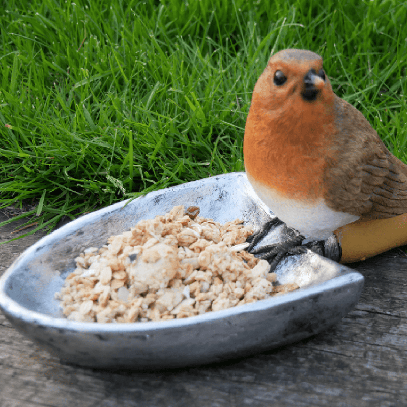 Robin Bird Feeder 13cm - BIRD HOUSE/ FEEDERS - Beattys of Loughrea