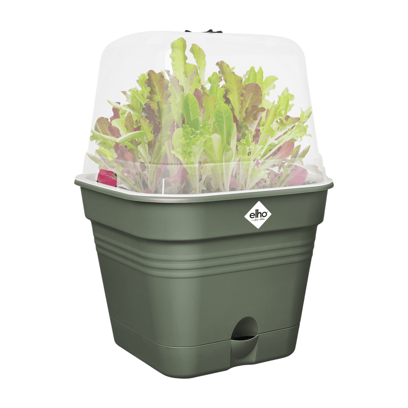 Elho Green Basics Growpot Square All - in - 1 20cm Leaf Green - PLANTER POT CLAY / CERAMIC - Beattys of Loughrea