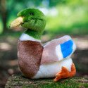 Animigos World Of Nature Mallard Duck - SOFT TOYS - Beattys of Loughrea