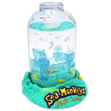 Sea Monkeys Magic Castle - ART & CRAFT 2 - Beattys of Loughrea