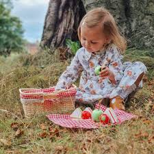 Picnic Basket - ROLE PLAY - Beattys of Loughrea