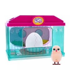 Llp Surprise Chick S4 Playset - DOLLS - Beattys of Loughrea