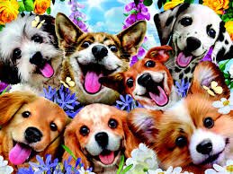 Howard Robinson: Puppy Selfie 48Pce 3D Puzzle - JIGSAWS - Beattys of Loughrea