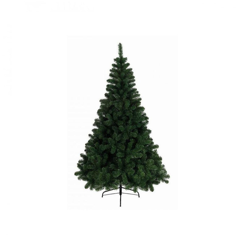 Ontario Pine Tree - 8ft 9922988