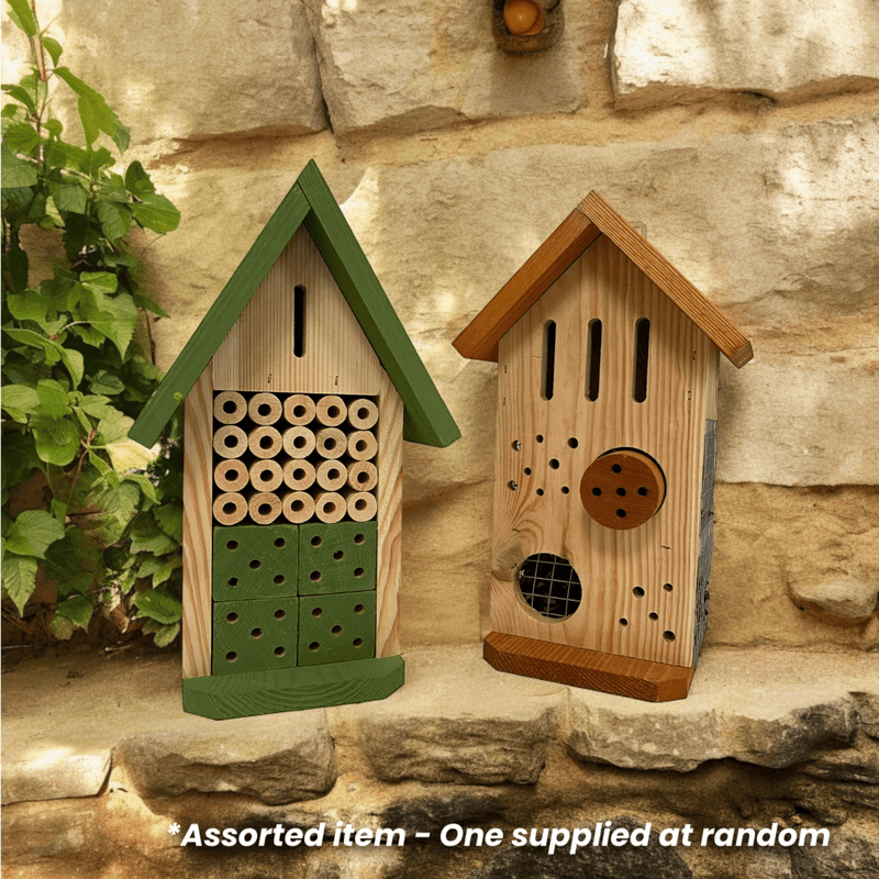 Decoris Medium Insect House Assorted 30cm - One Supplied* - BIRD HOUSE/ FEEDERS - Beattys of Loughrea