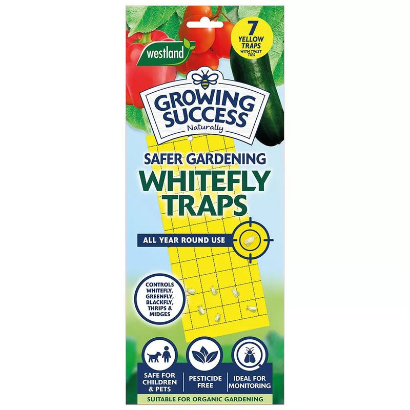 Growing Success Whitefly Traps - INSECTICIDE/SMOKE CANE - Beattys of Loughrea