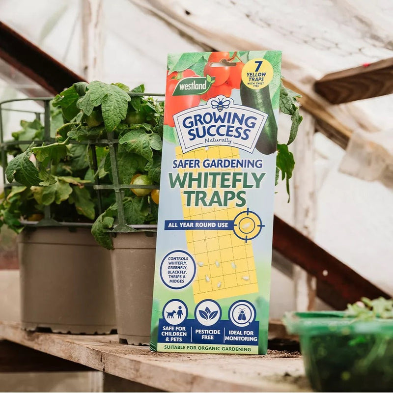 Growing Success Whitefly Traps - INSECTICIDE/SMOKE CANE - Beattys of Loughrea