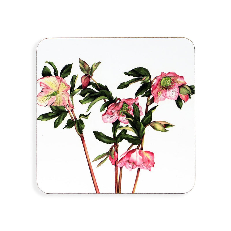 TIPPERARY CRYSTAL Botanical Studio Set of 6 Coasters - TABLEMATS/COASTERS - Beattys of Loughrea