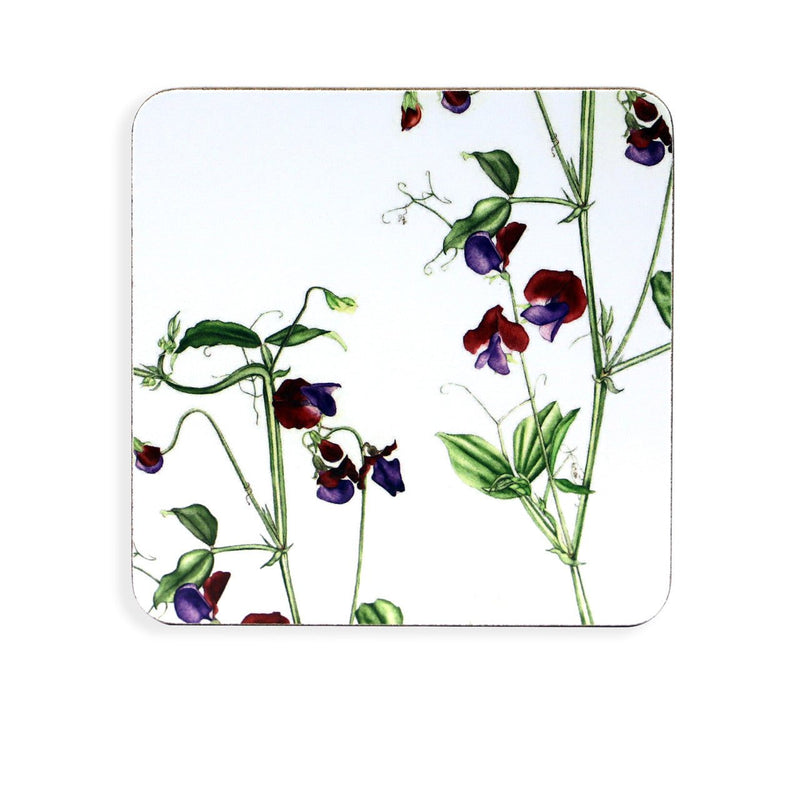 TIPPERARY CRYSTAL Botanical Studio Set of 6 Coasters - TABLEMATS/COASTERS - Beattys of Loughrea