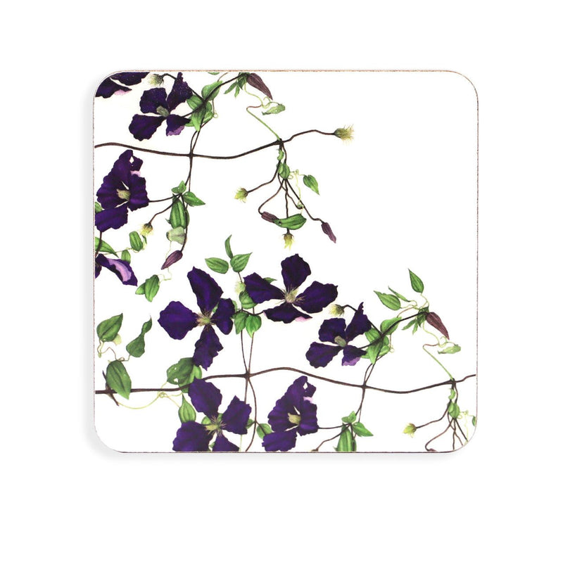 TIPPERARY CRYSTAL Botanical Studio Set of 6 Coasters - TABLEMATS/COASTERS - Beattys of Loughrea