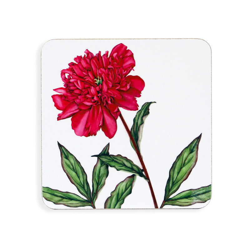 TIPPERARY CRYSTAL Botanical Studio Set of 6 Coasters - TABLEMATS/COASTERS - Beattys of Loughrea