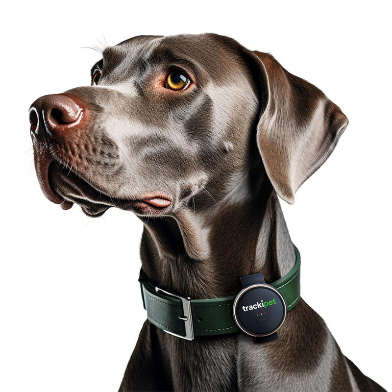 TrackiPet Tracki Dog Gps Tracker | 7463 - PET FENCERS BARK STOPPERS ENCLOSURES TRACKERS - Beattys of Loughrea