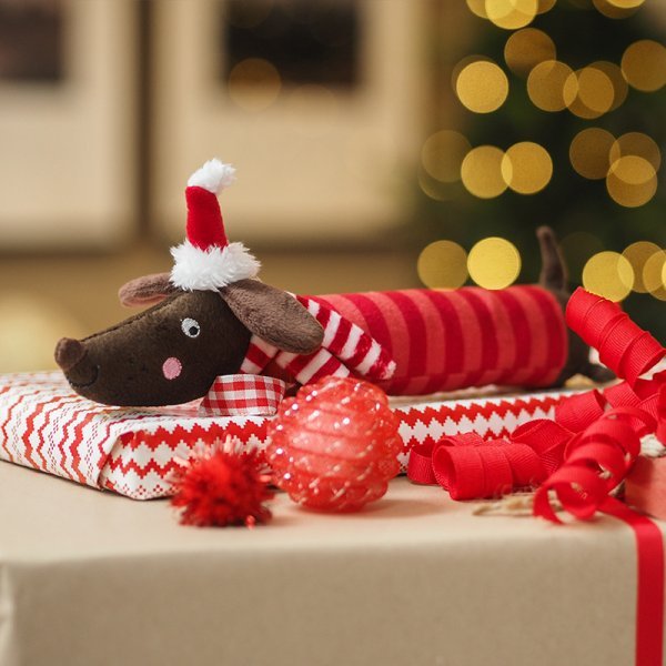 Festive Frankie Sausage PlayPal Dog Toy - PET TOYS BOOKS - Beattys of Loughrea