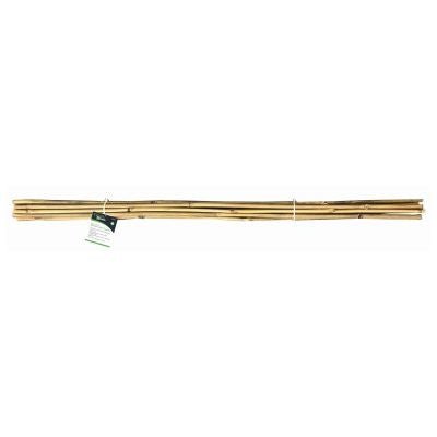 Green Blade 10Pc 120Cm Bamboo Plant Support - PLANT TIES BAMBOO CANES STRING LABELS GARDEN PEGS - Beattys of Loughrea