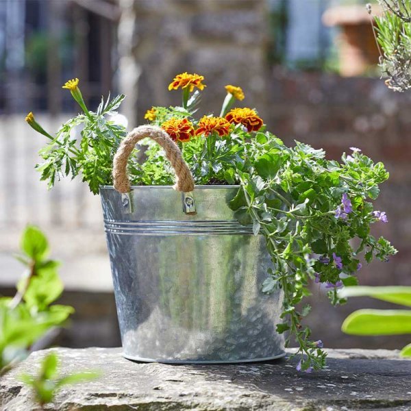 9in Rustic Rope Handled Planter - GDN PLANTER - METAL/POTTERY - Beattys of Loughrea