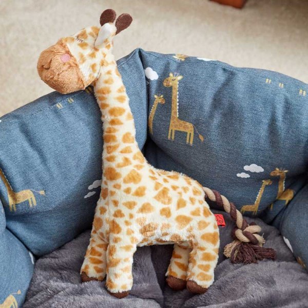 Junior Giraffe Squeaky Pet Toy - PET TOYS BOOKS - Beattys of Loughrea