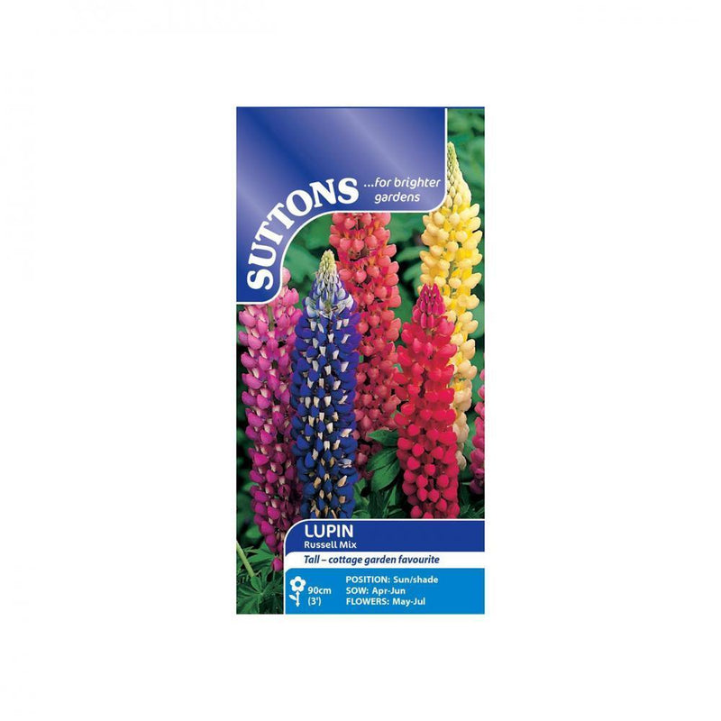 Suttons Lupin Russell Strain 120301 - SEED VEG & FLOWER - Beattys of Loughrea