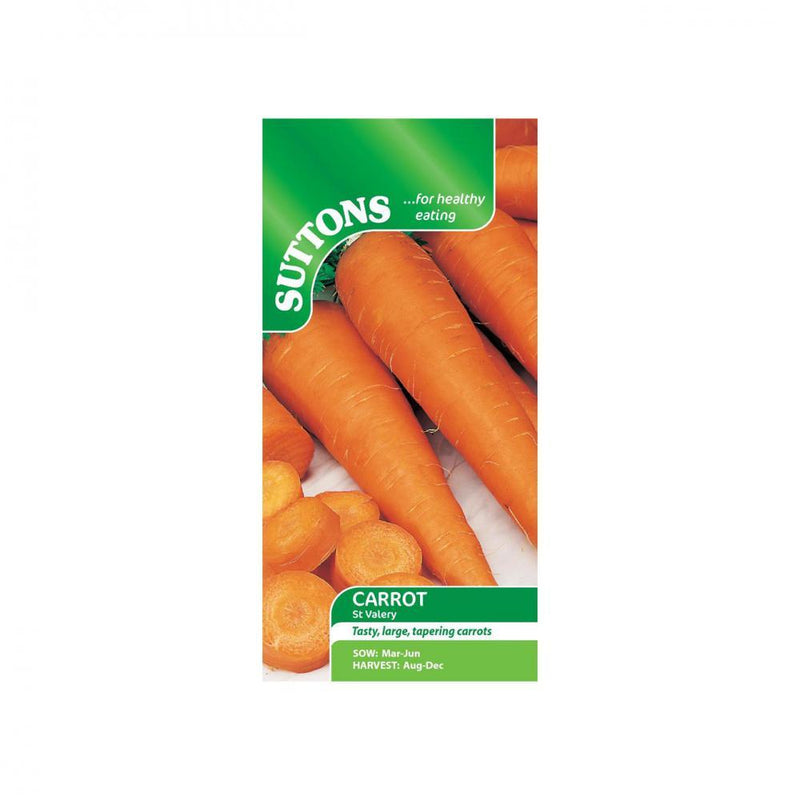 Suttons Carrot St Valery 157475 - SEED VEG & FLOWER - Beattys of Loughrea