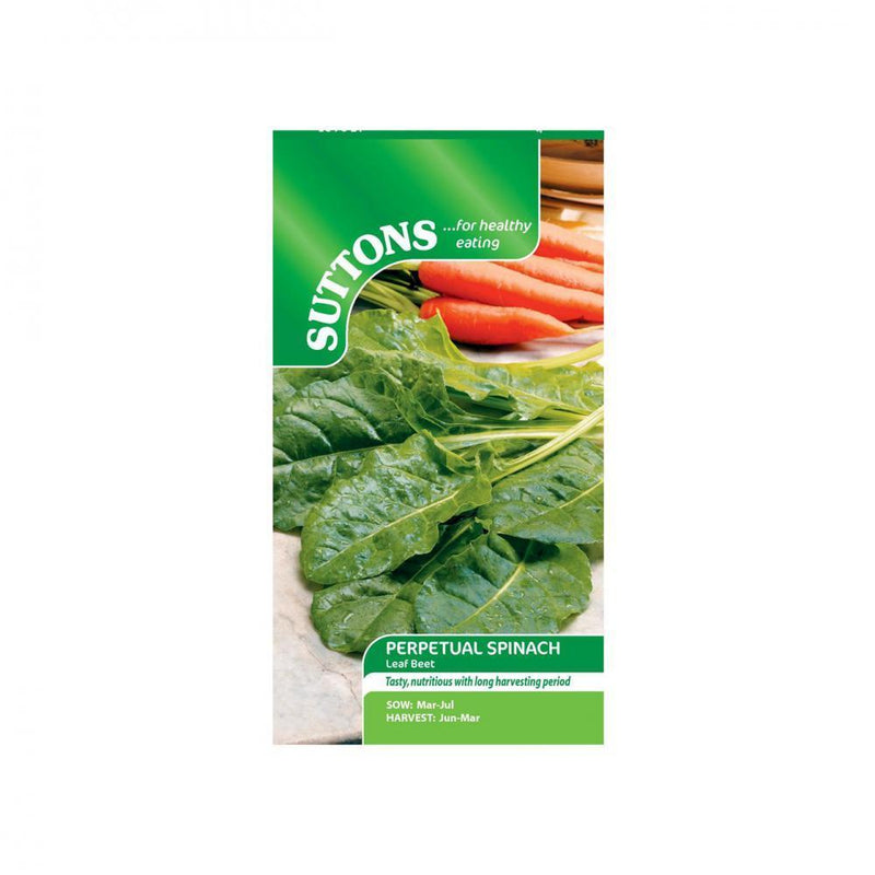 Suttons Spinach Scenic Perpetual Leaf Beet 178435 - SEED VEG & FLOWER - Beattys of Loughrea