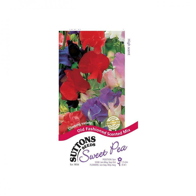 Suttons Sweet Pea Old Fashioned Scented Mix 134254 - SEED VEG & FLOWER - Beattys of Loughrea