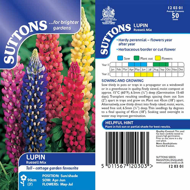 Suttons Lupin Russell Strain 120301 - SEED VEG & FLOWER - Beattys of Loughrea