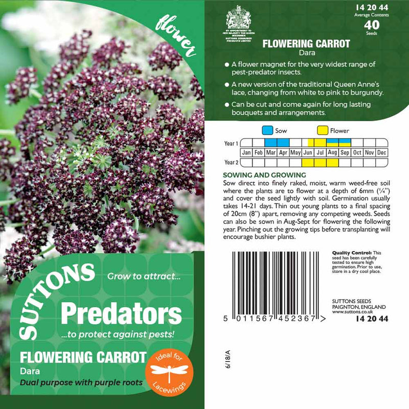 Suttons Flowering Carrot Dara Pp - SEED VEG & FLOWER - Beattys of Loughrea