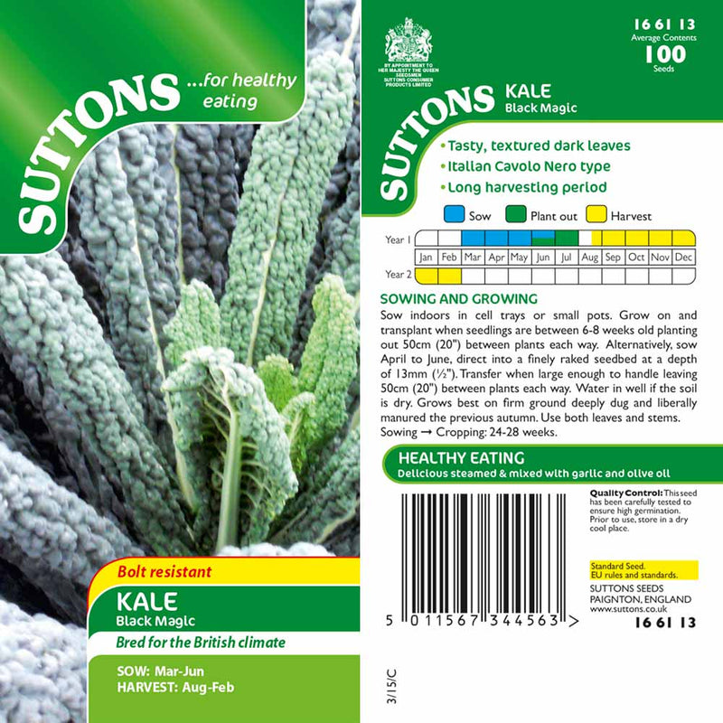 Suttons Kale Black Magic G166113 - SEED VEG & FLOWER - Beattys of Loughrea