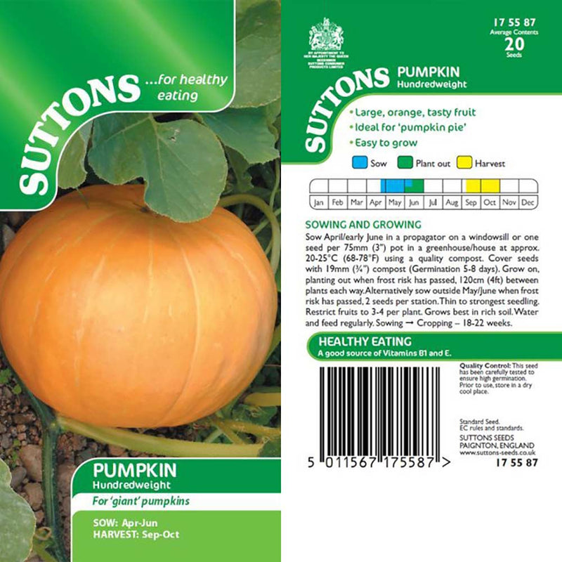 Suttons Pumpkin Hundredweight 175587 - SEED VEG & FLOWER - Beattys of Loughrea